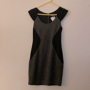 Express Knee Length Dress